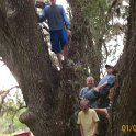 2012-Jan-02HGR4X4Croom 109